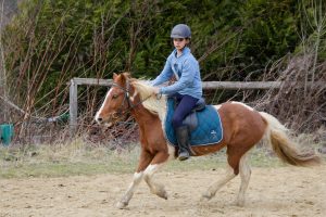 Cours Poney